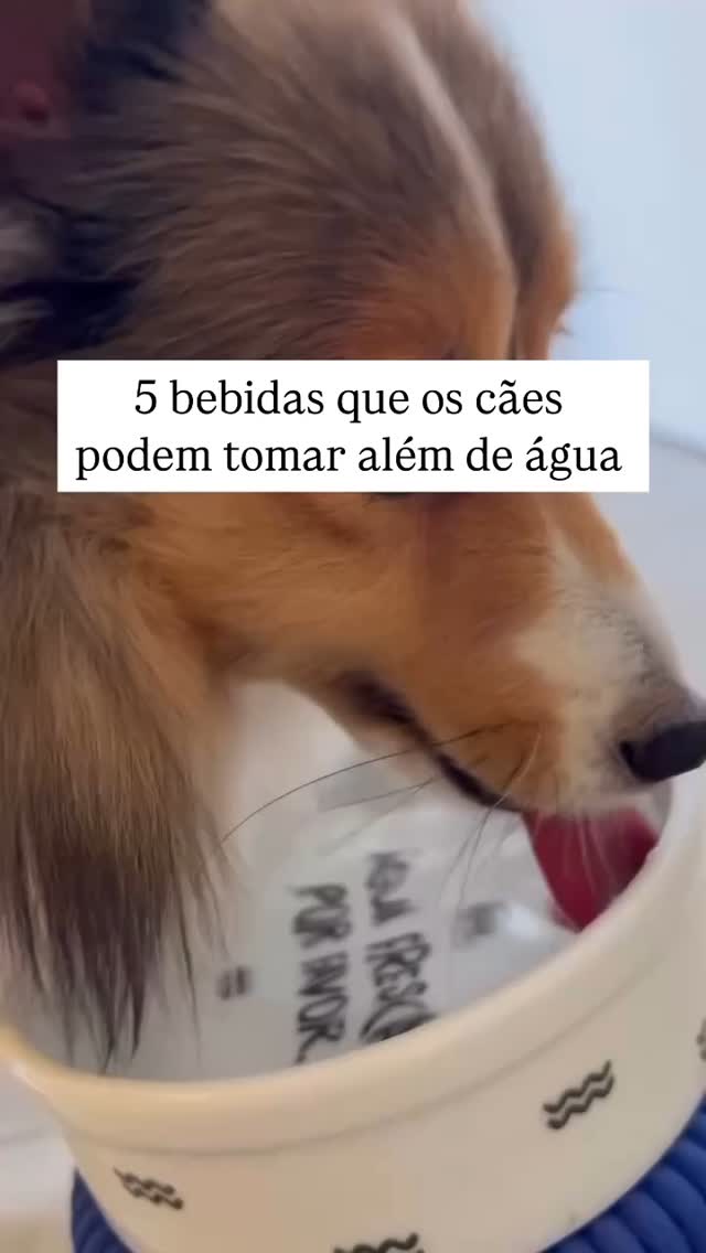 19 de abril de 2025