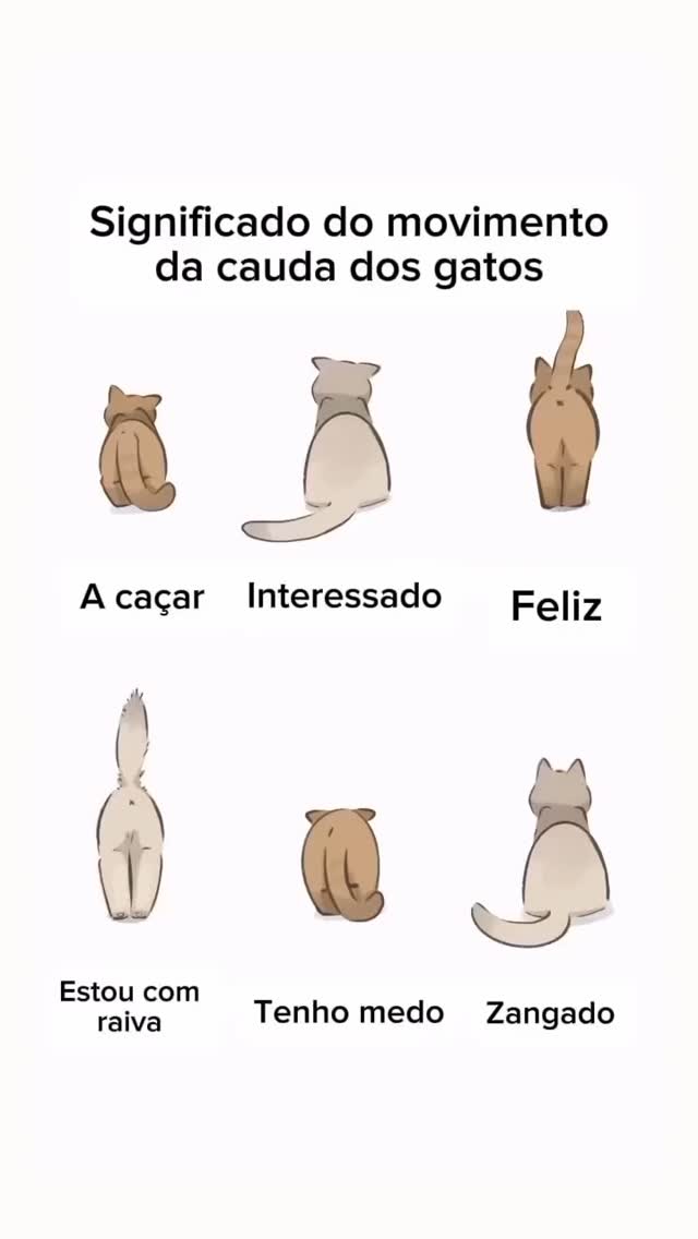 19 de abril de 2025