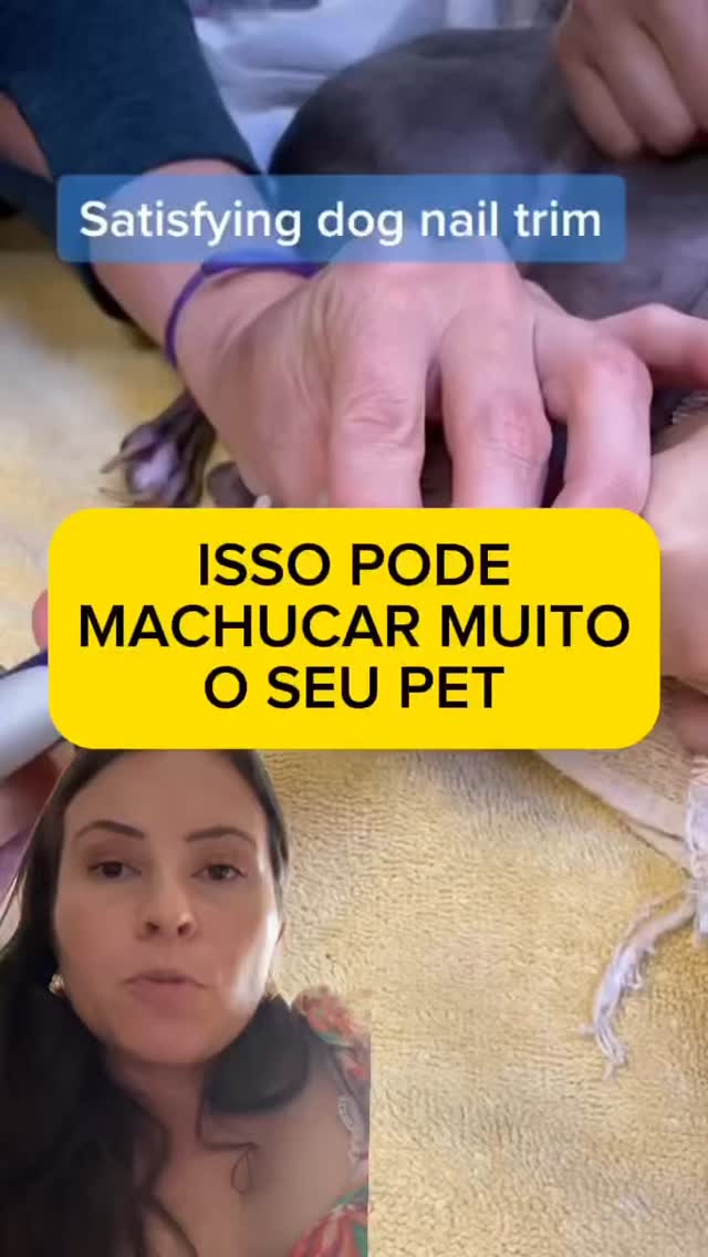 19 de abril de 2025