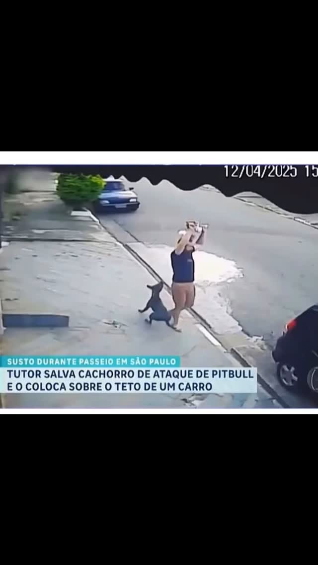 23 de abril de 2025