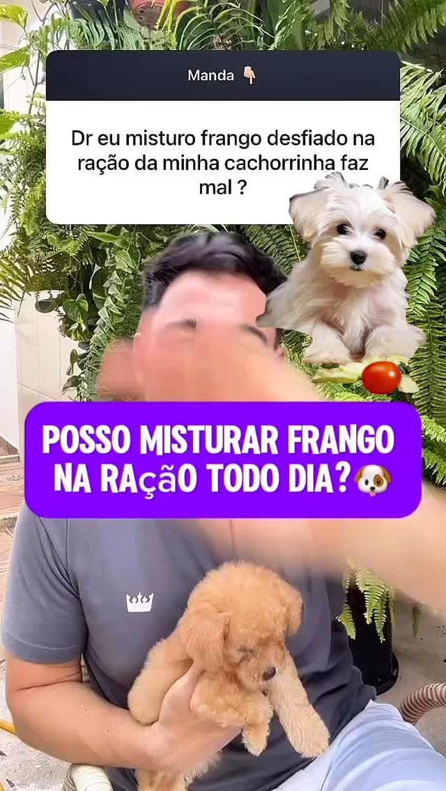 23 de abril de 2025