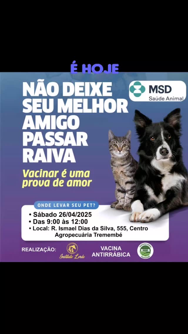 26 de abril de 2025