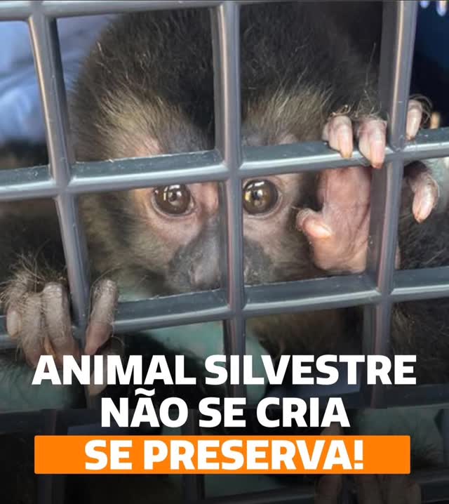 27 de abril de 2025