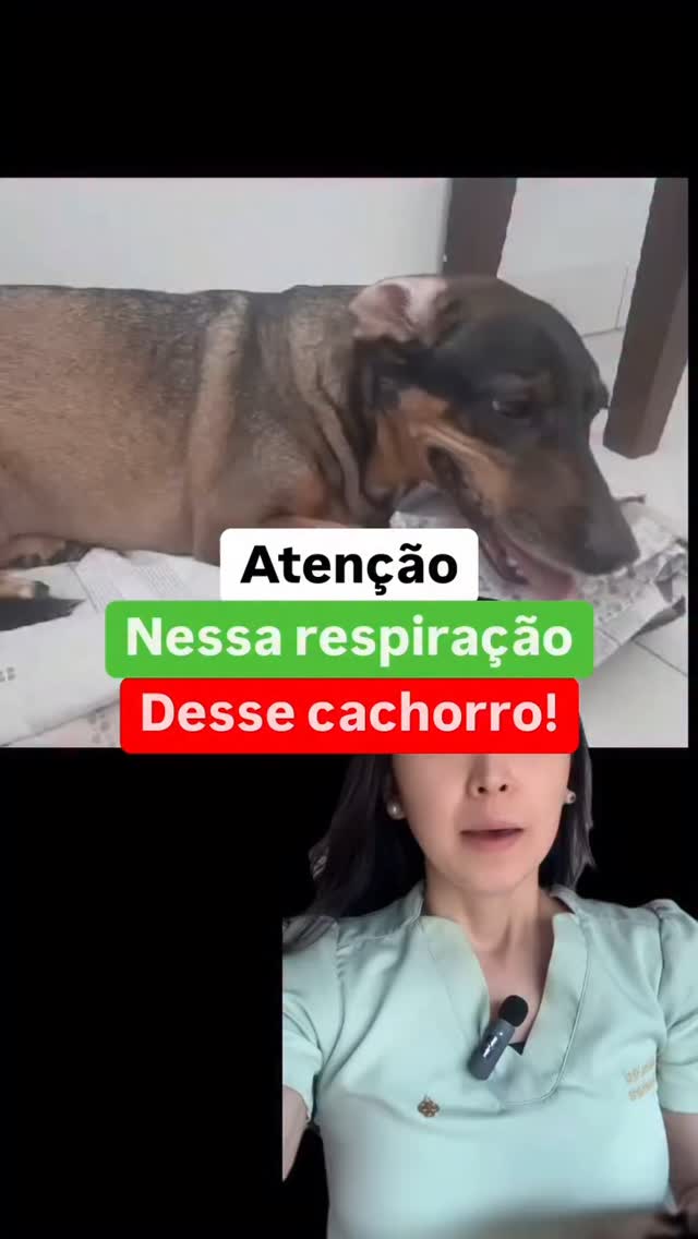 28 de abril de 2025