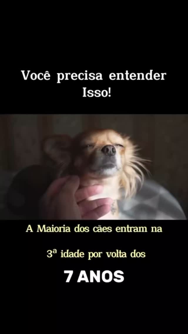29 de abril de 2025