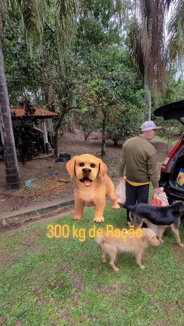 2 de maio de 2025