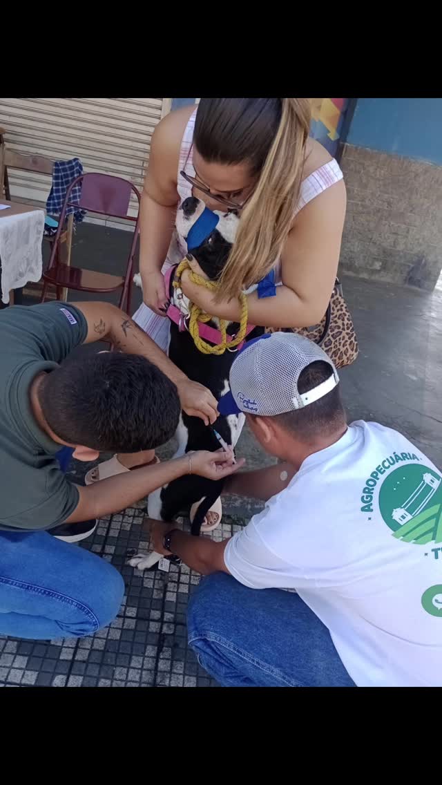 4 de maio de 2025