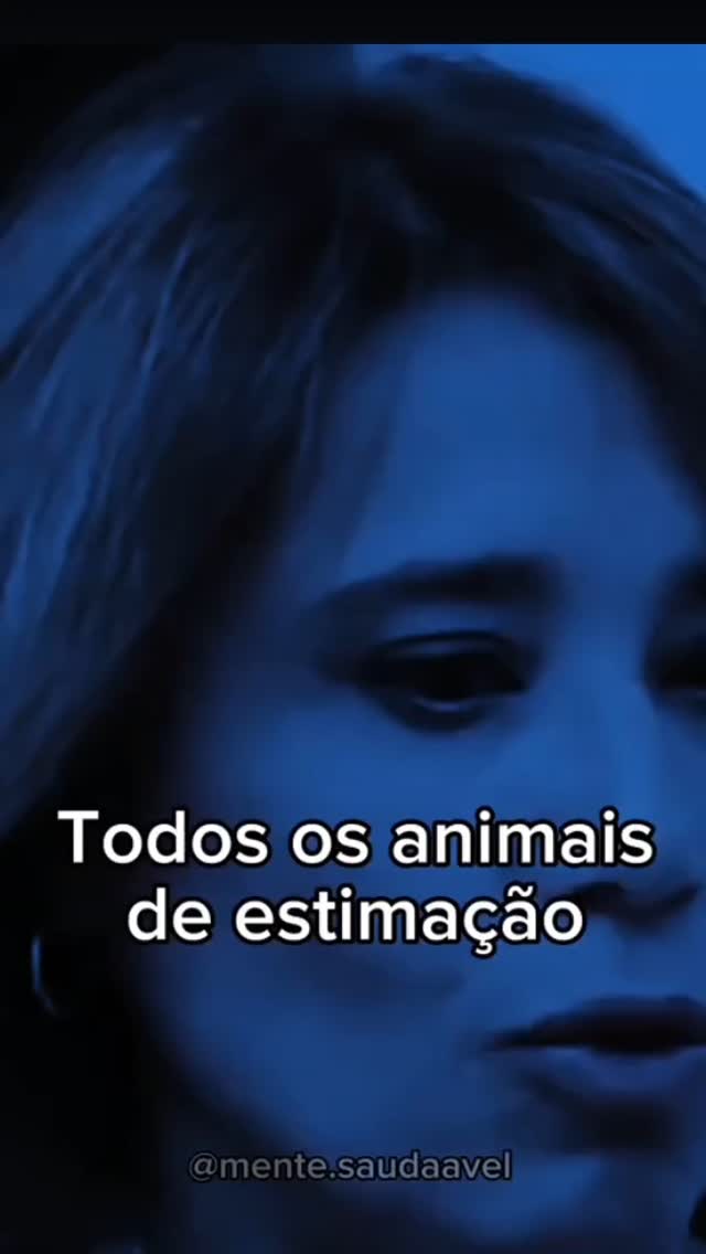 6 de maio de 2025
