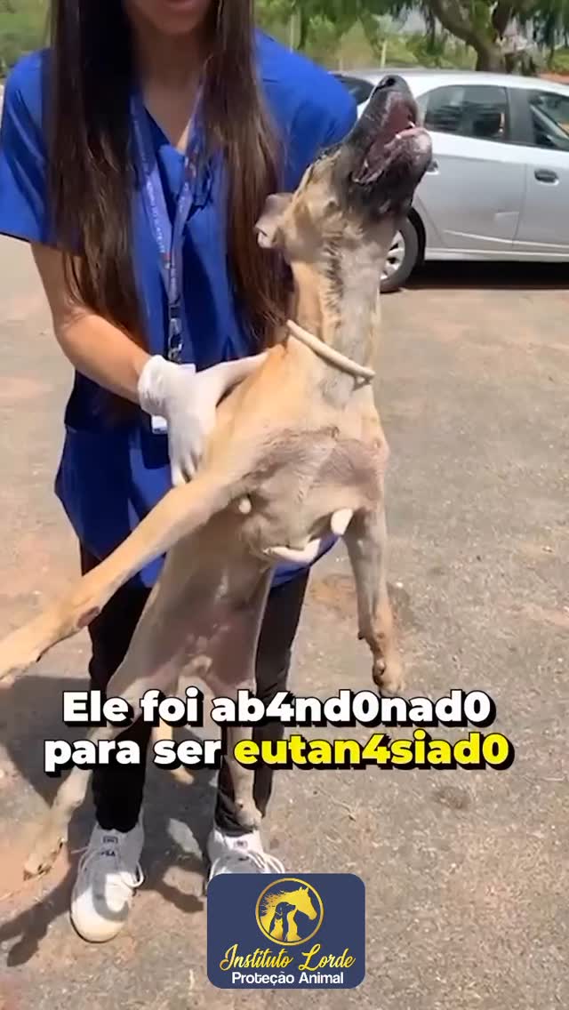8 de maio de 2025