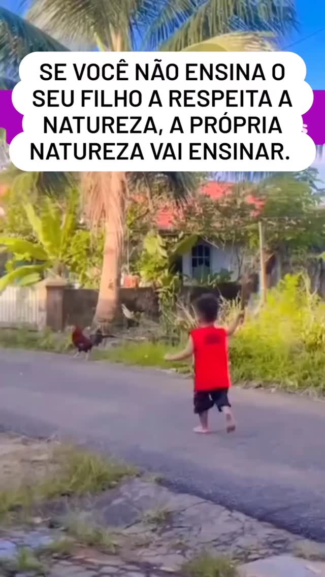 15 de maio de 2025