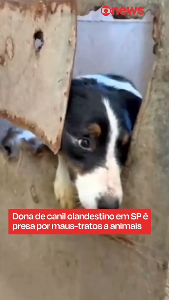 26 de agosto de 2025