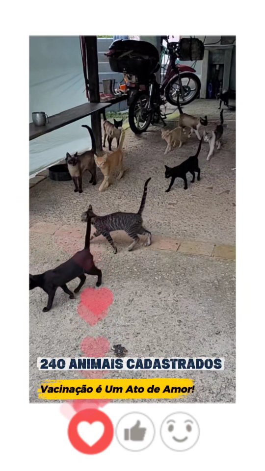 15 de janeiro de 2026