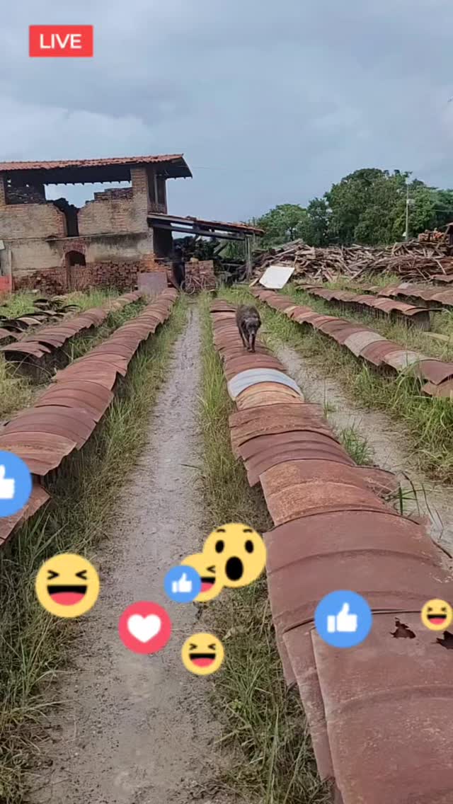 1 de fevereiro de 2026